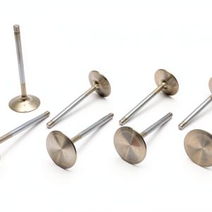 Manley 11360-8 Metal Intake Valve 2" Threaded Inlet NPT Outlet-0