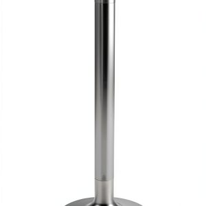 Manley Stainless Steel Dual Port Intake Valve 2.25" NPT Threaded-0