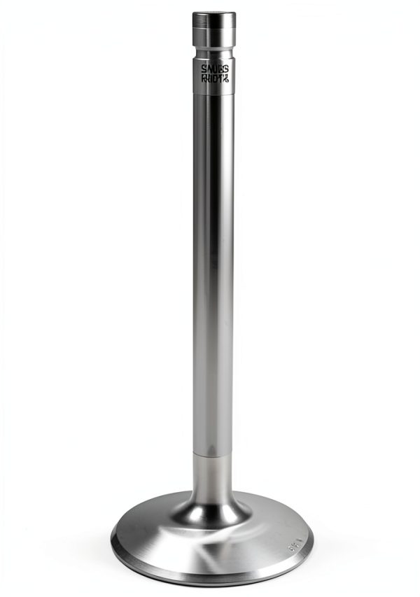 Manley Stainless Steel Dual Port Intake Valve 2.25" NPT Threaded-0