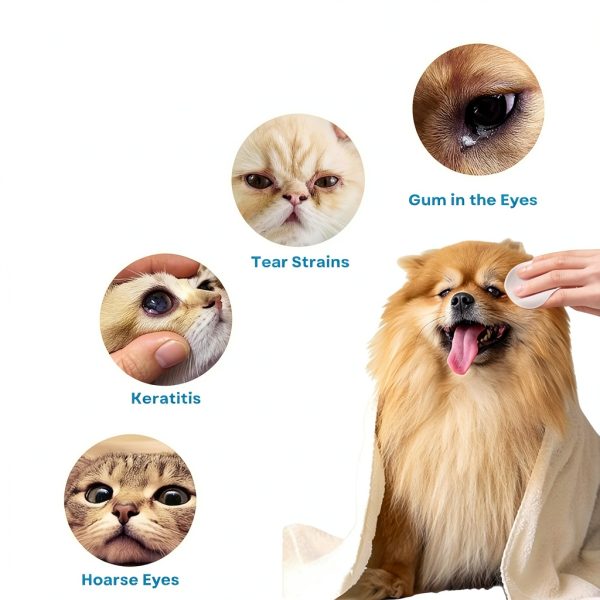 Pet Eye Wipes for Cats and Dogs, Dog Eye Wipes, Eye Wipes for Dogs, Pet Eye Wipes for Remove Tear Stain, Eye Debris, 100 Count-6